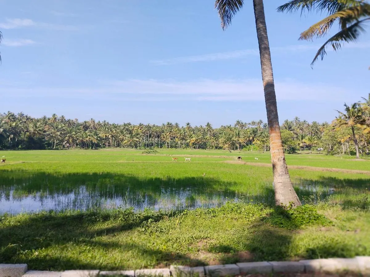 Banana Garden Hotel Varkala Indien