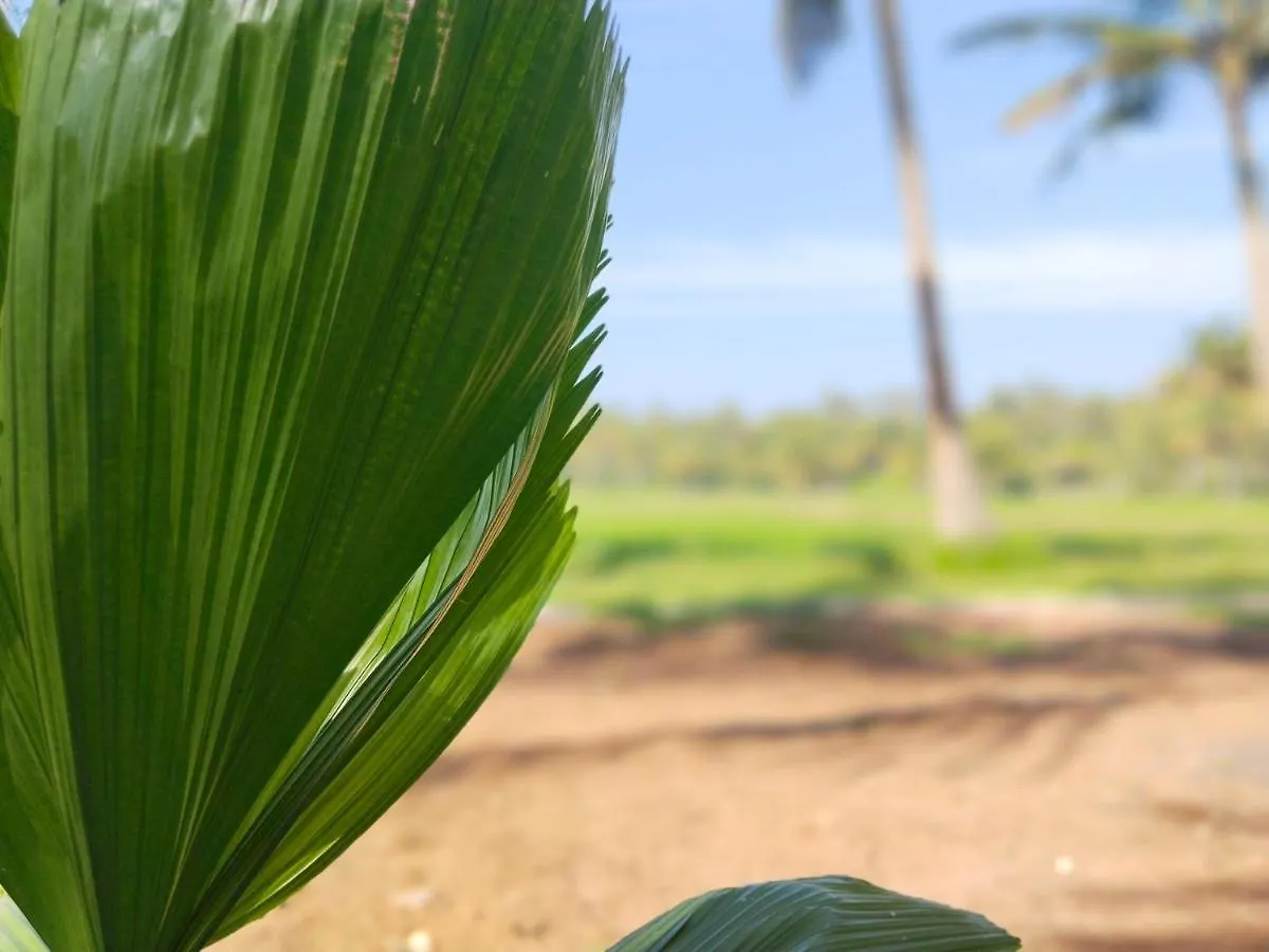 Feriested Banana Garden Hotel Varkala Indien