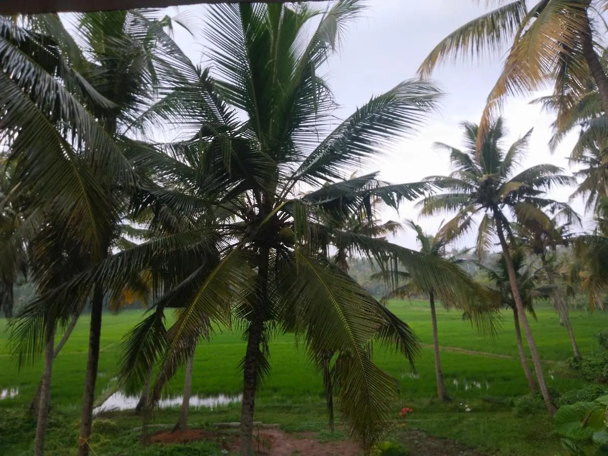 Banana Garden Hotel Varkala